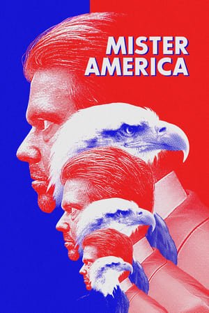 Мистер Америка онлайн